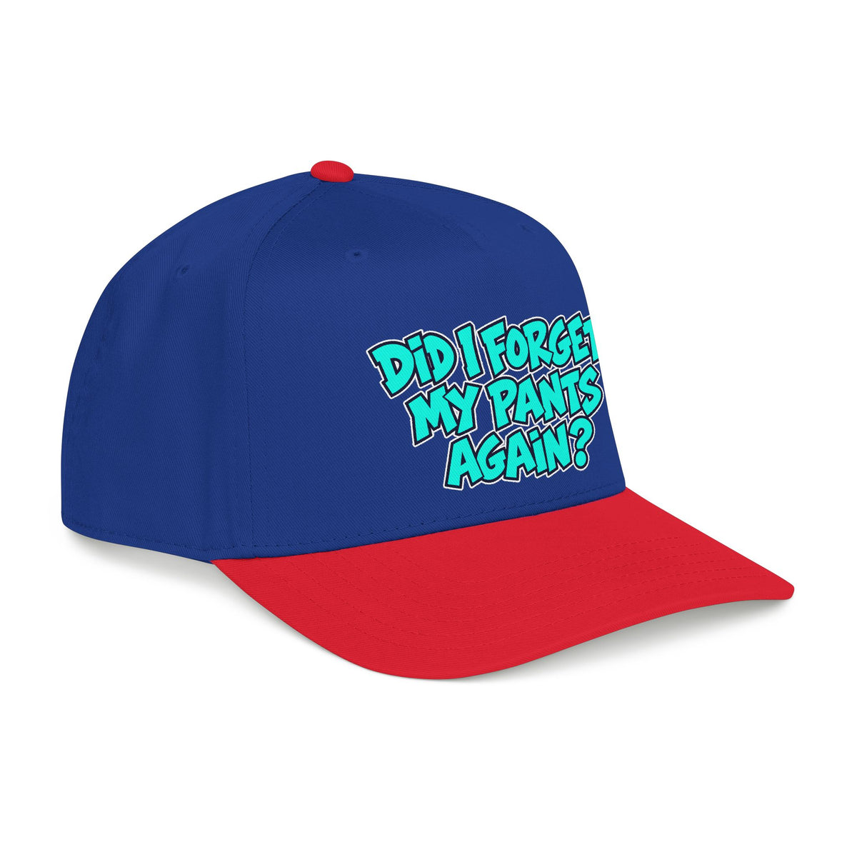 Did I Forget My Pants Again - OTTO Baseball Hat