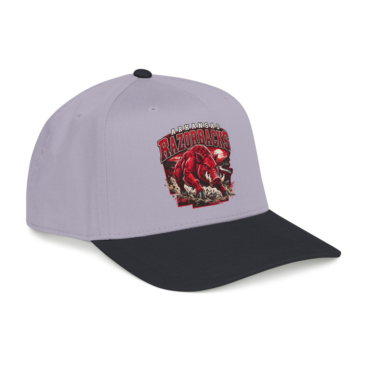 Arkansas Razorbacks State Pride - OTTO Baseball Hat
