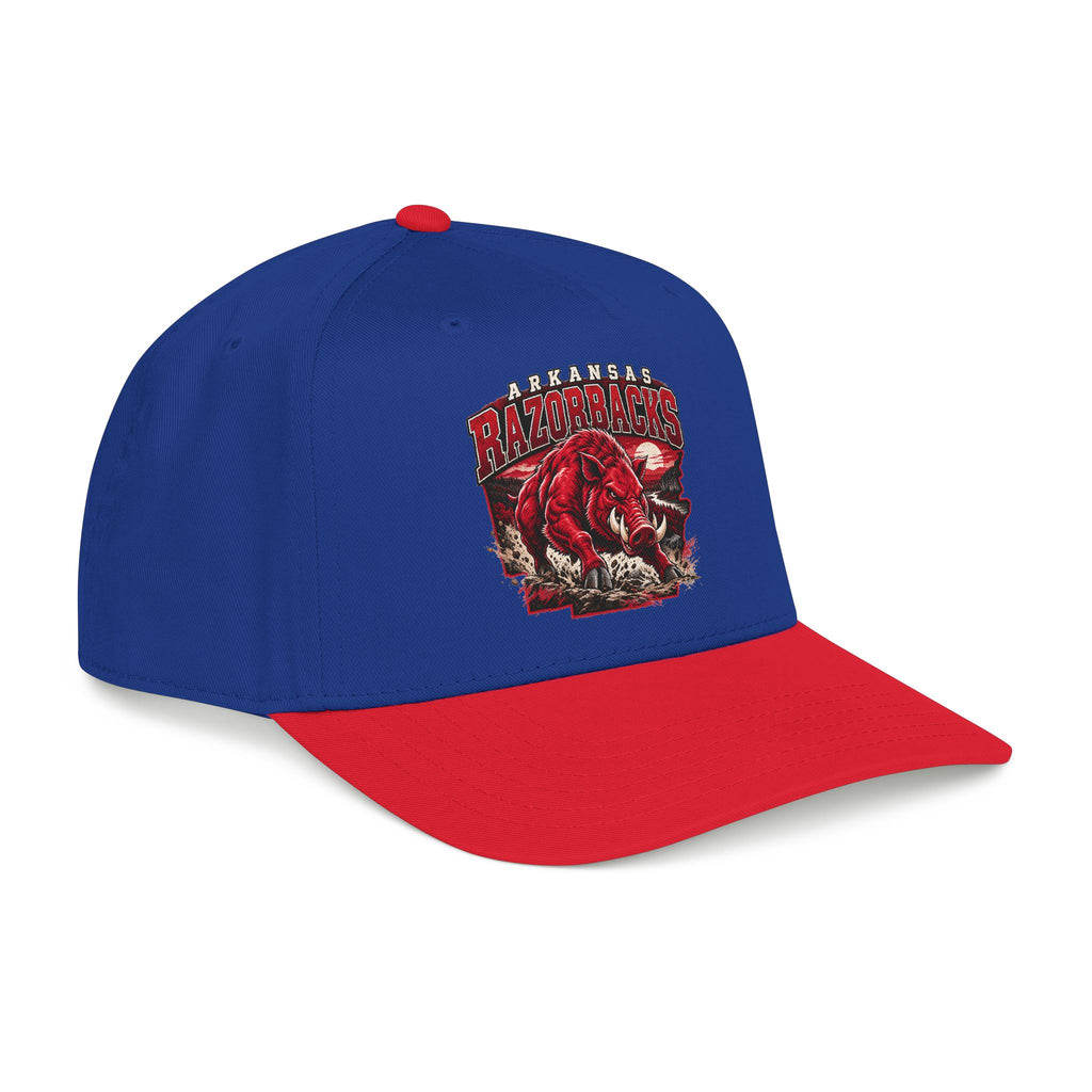 Arkansas Razorbacks State Pride - OTTO Baseball Hat