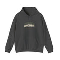 Professional Overkiller - Hoodie