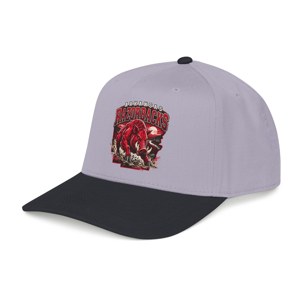Arkansas Razorbacks State Pride - OTTO Baseball Hat