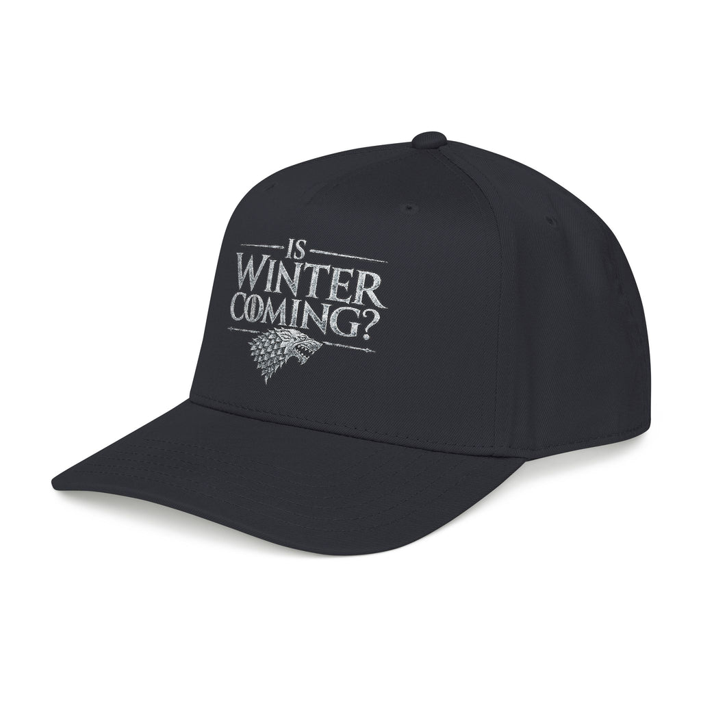 Winter is Coming Stark - OTTO Baseball Hat