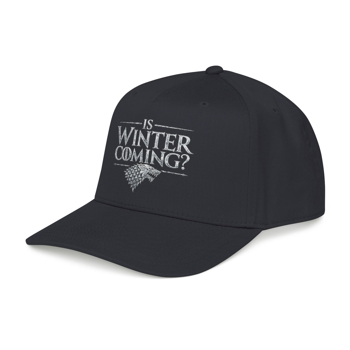 Winter is Coming Stark - OTTO Baseball Hat