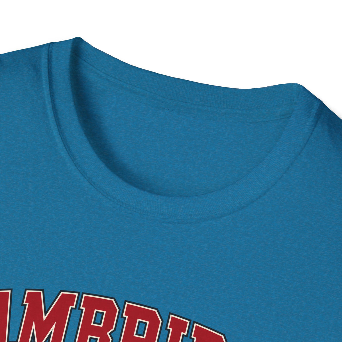 Cambridge Community College - Classic Tee