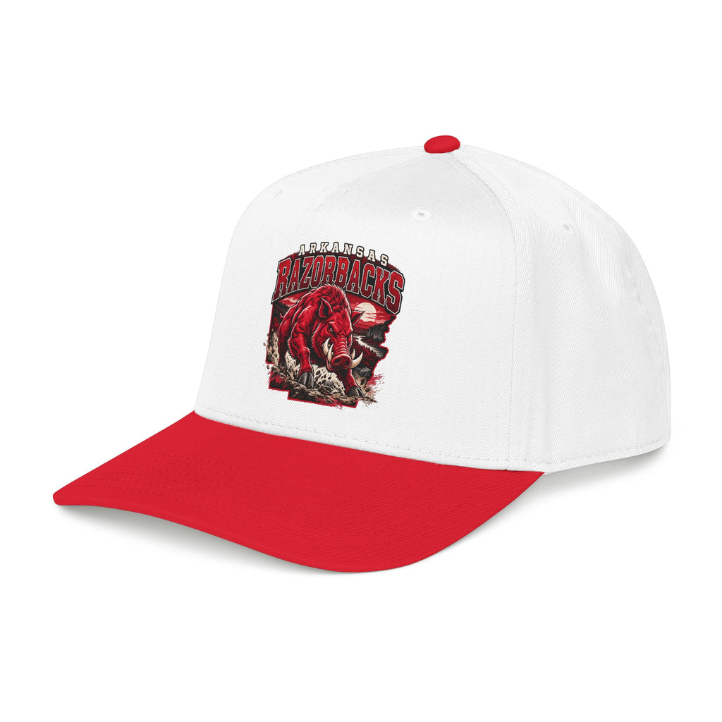 Arkansas Razorbacks State Pride - OTTO Baseball Hat