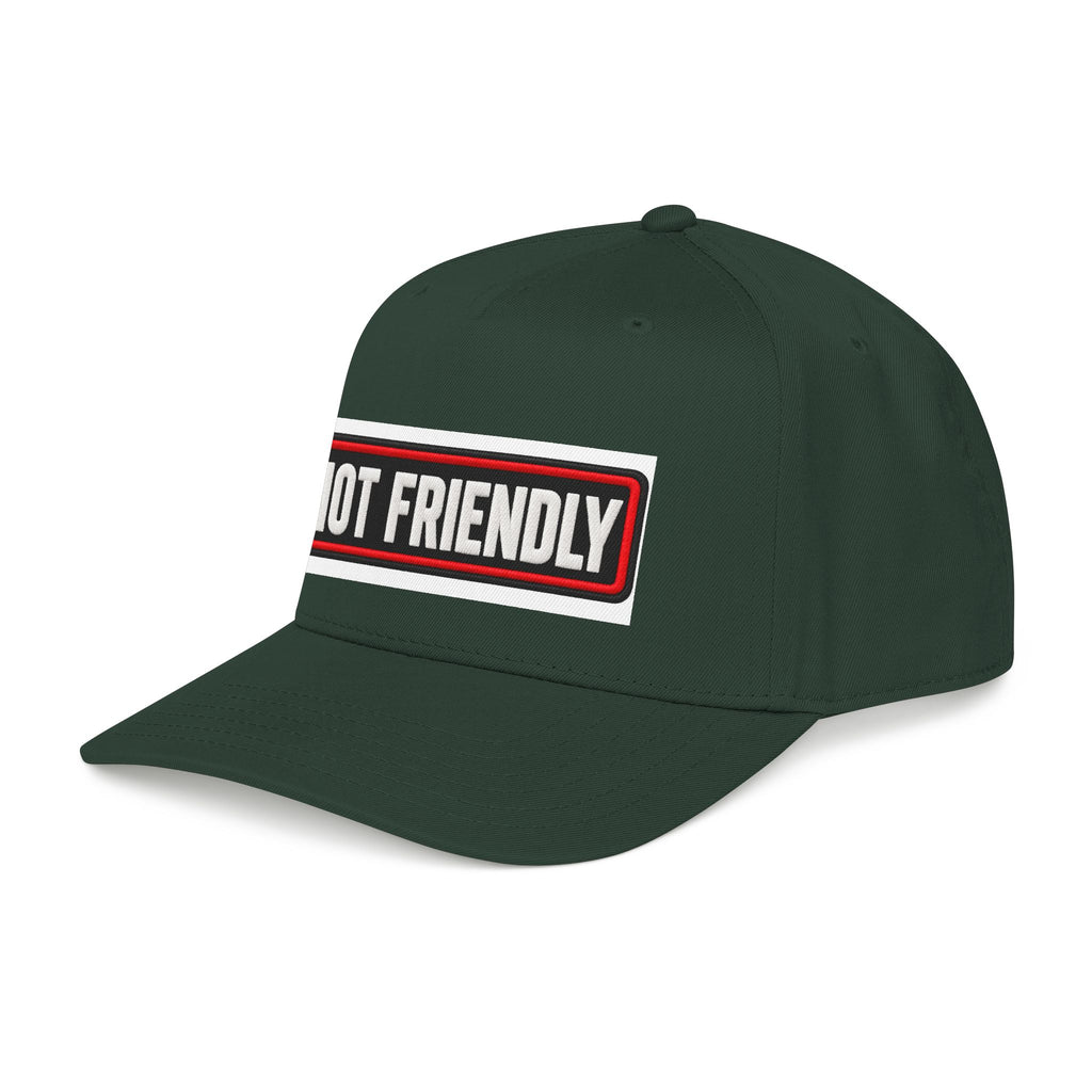Not Friendly - Service Dog Patch - OTTO Baseball Hat