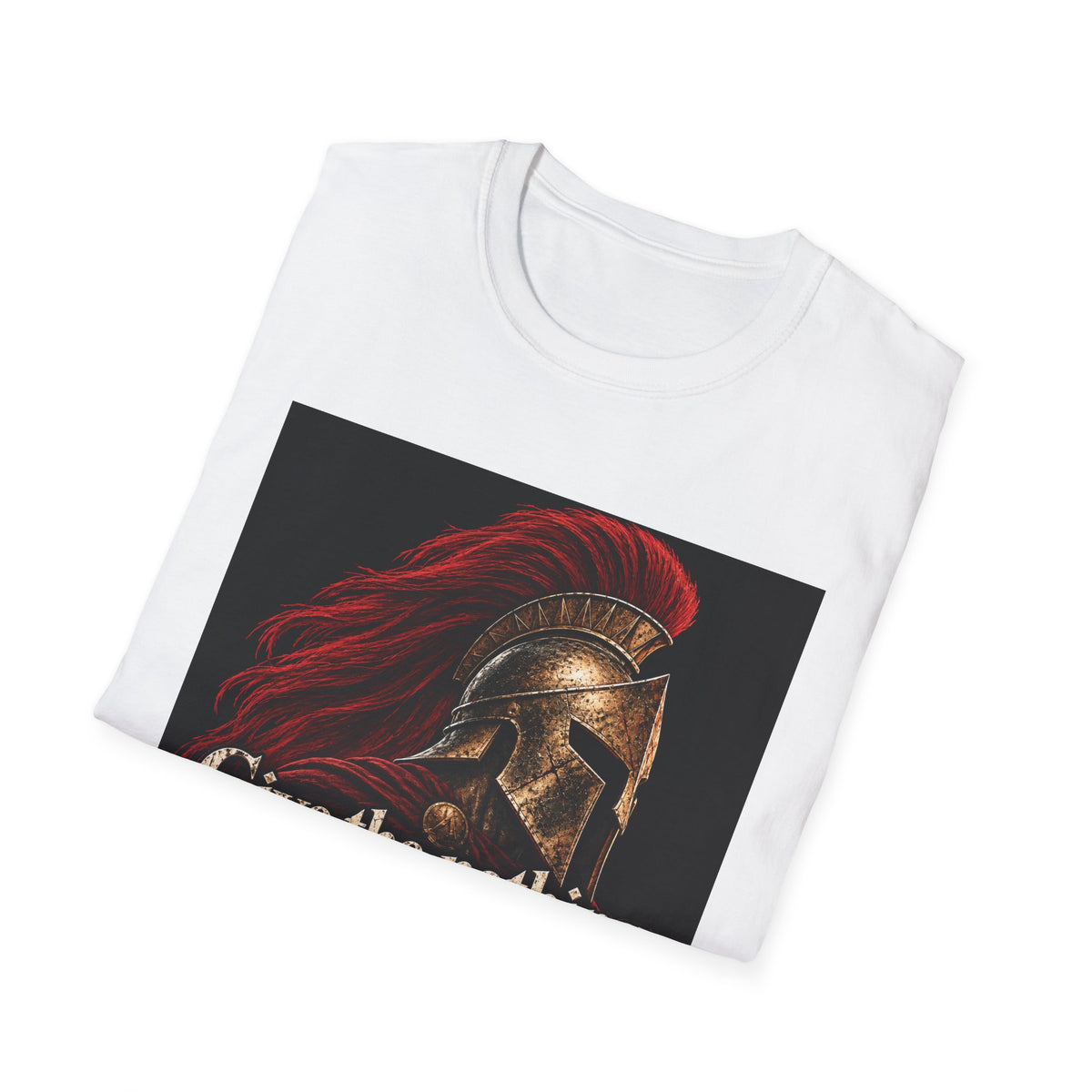 Spartan Helmet - Take Everything - Classic Tee