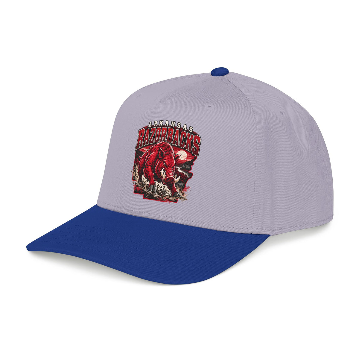 Arkansas Razorbacks State Pride - OTTO Baseball Hat