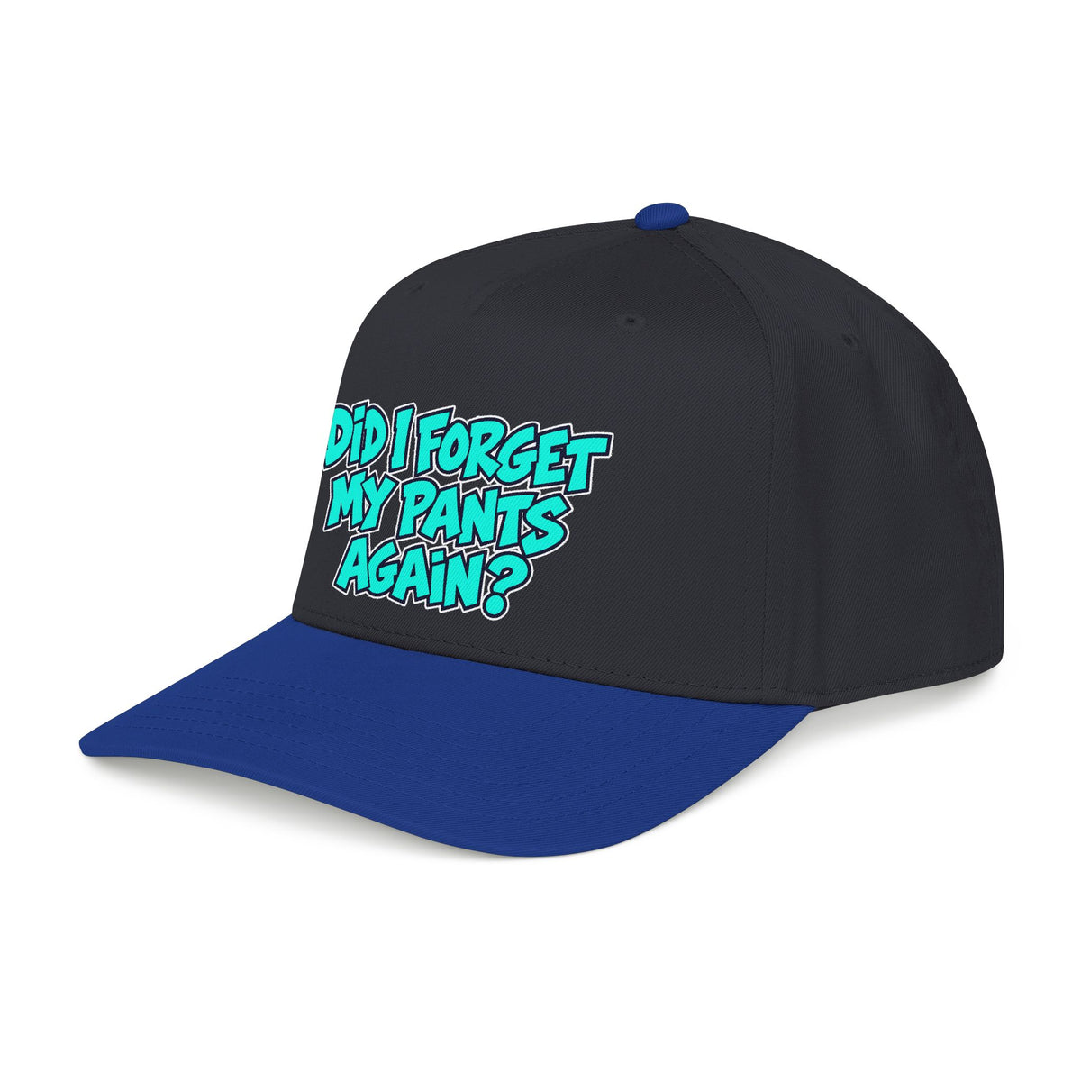 Did I Forget My Pants Again - OTTO Baseball Hat