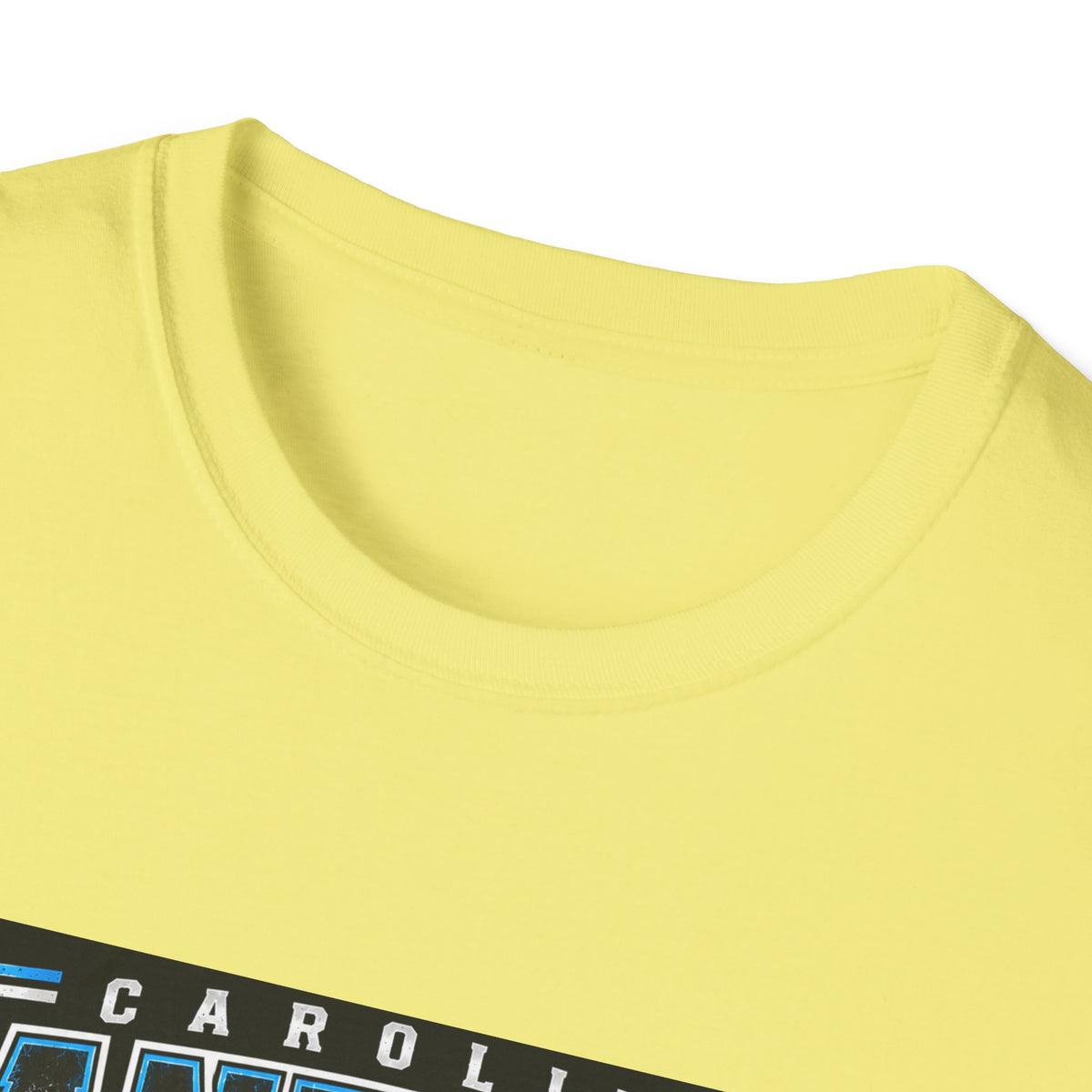 Carolina Panthers Keep Pounding - Classic Tee