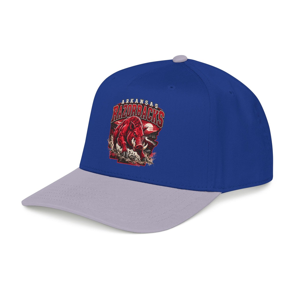 Arkansas Razorbacks State Pride - OTTO Baseball Hat