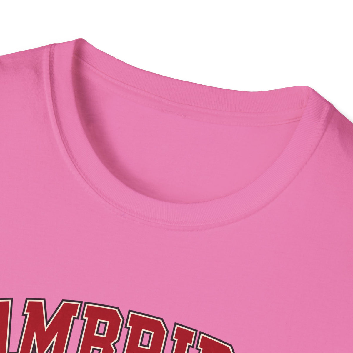 Cambridge Community College - Classic Tee