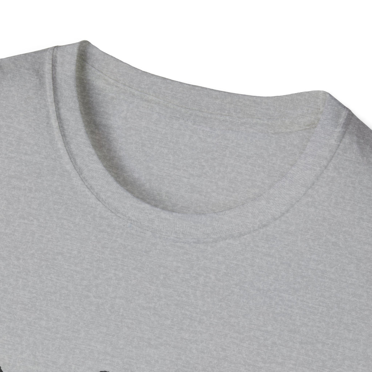 The Right to Arm Bears - Classic Tee