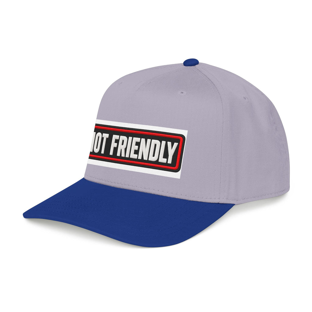Not Friendly - Service Dog Patch - OTTO Baseball Hat