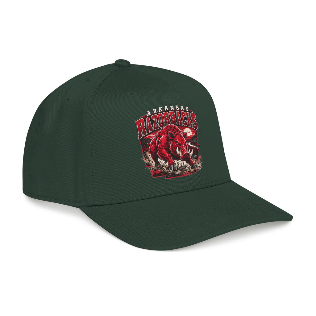 Arkansas Razorbacks State Pride - OTTO Baseball Hat