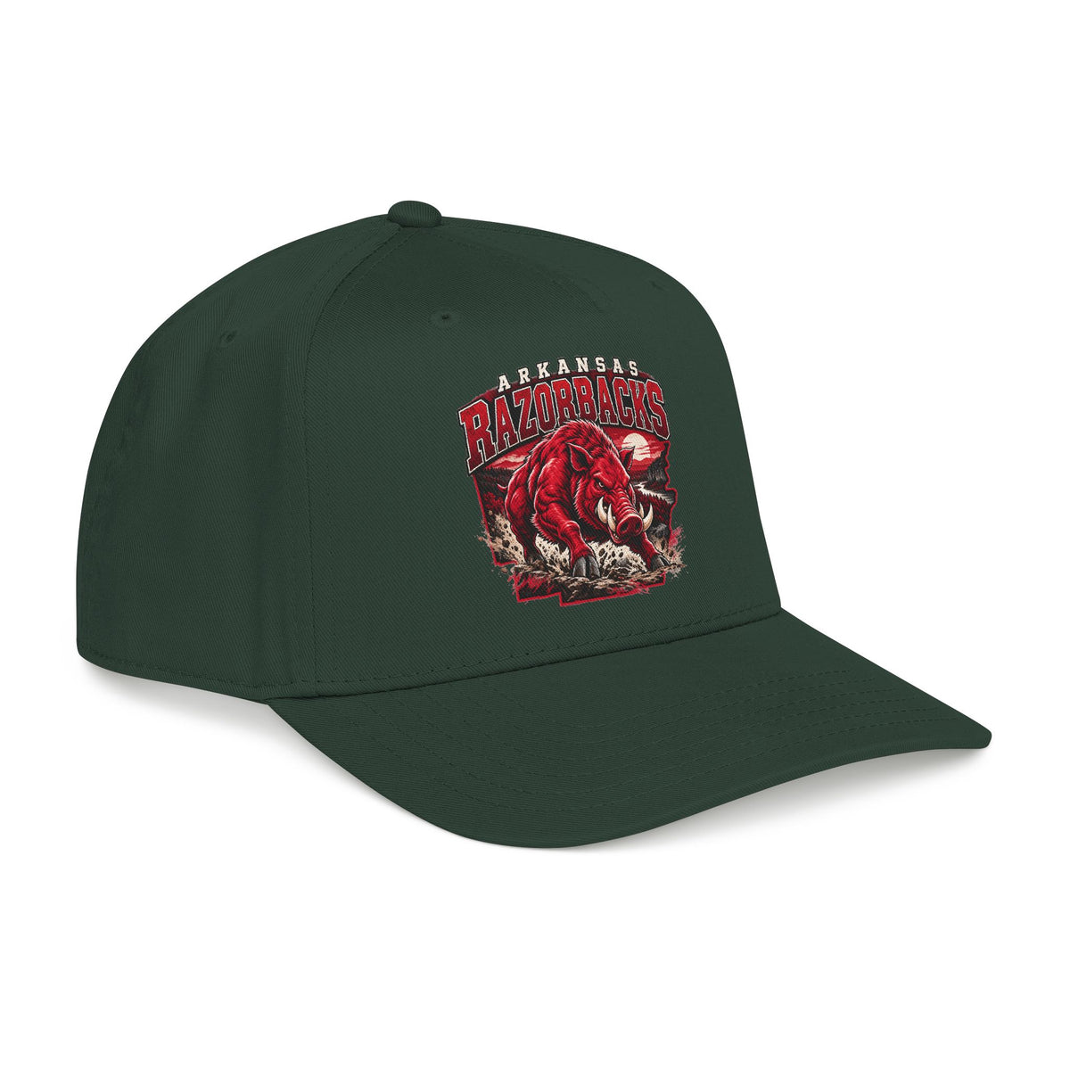 Arkansas Razorbacks State Pride - OTTO Baseball Hat