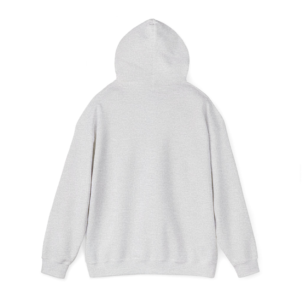 U.S. Air Force Emblem - Hoodie