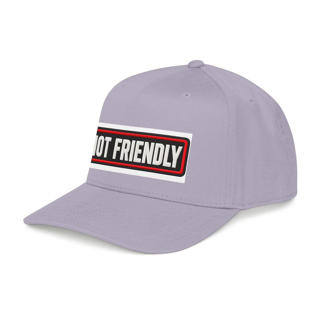 Not Friendly - Service Dog Patch - OTTO Baseball Hat