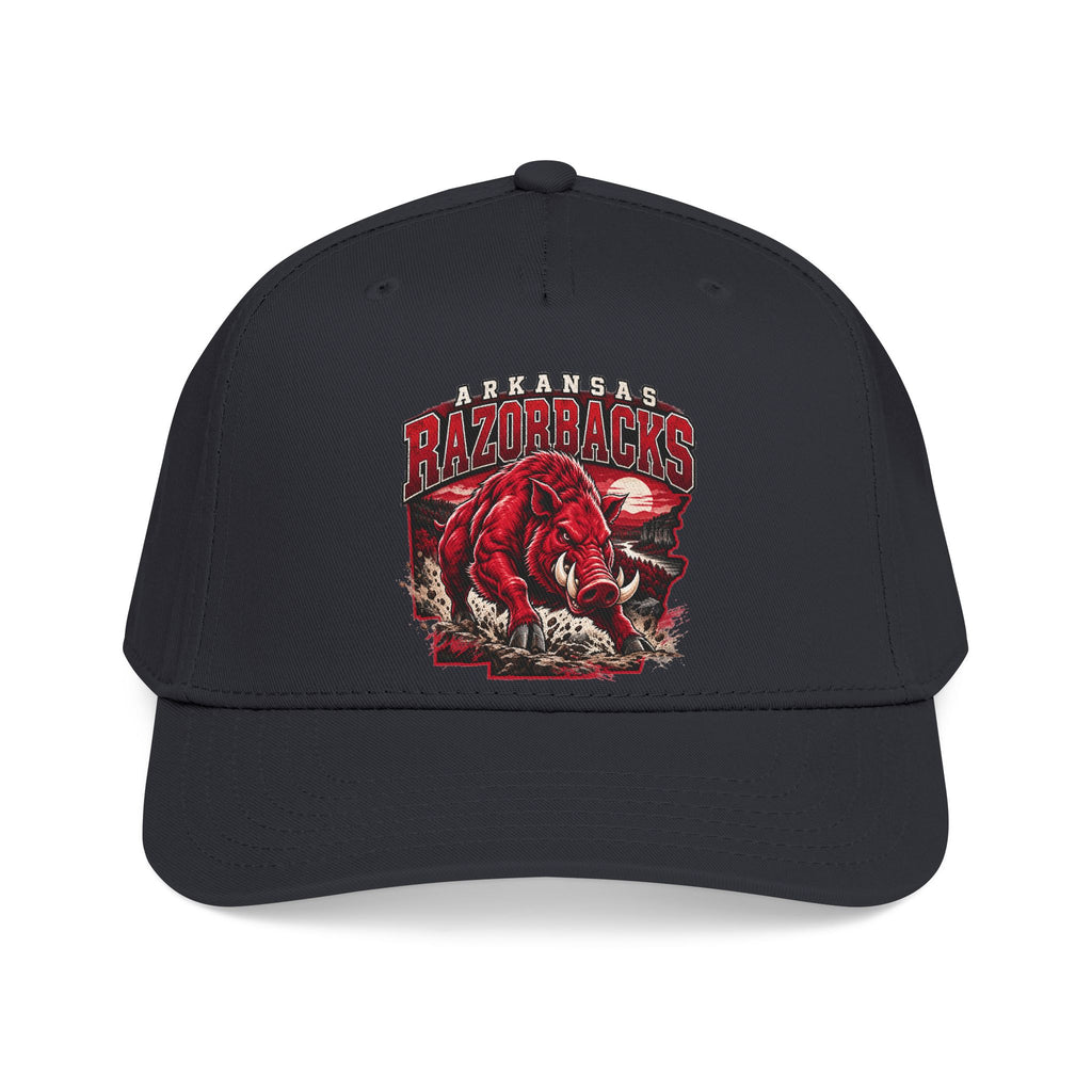 Arkansas Razorbacks State Pride - OTTO Baseball Hat