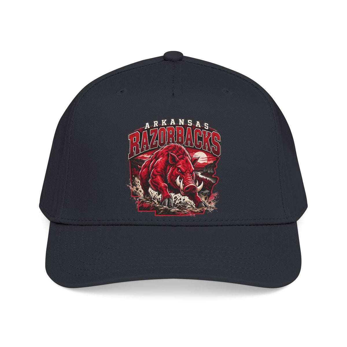 Arkansas Razorbacks State Pride - OTTO Baseball Hat