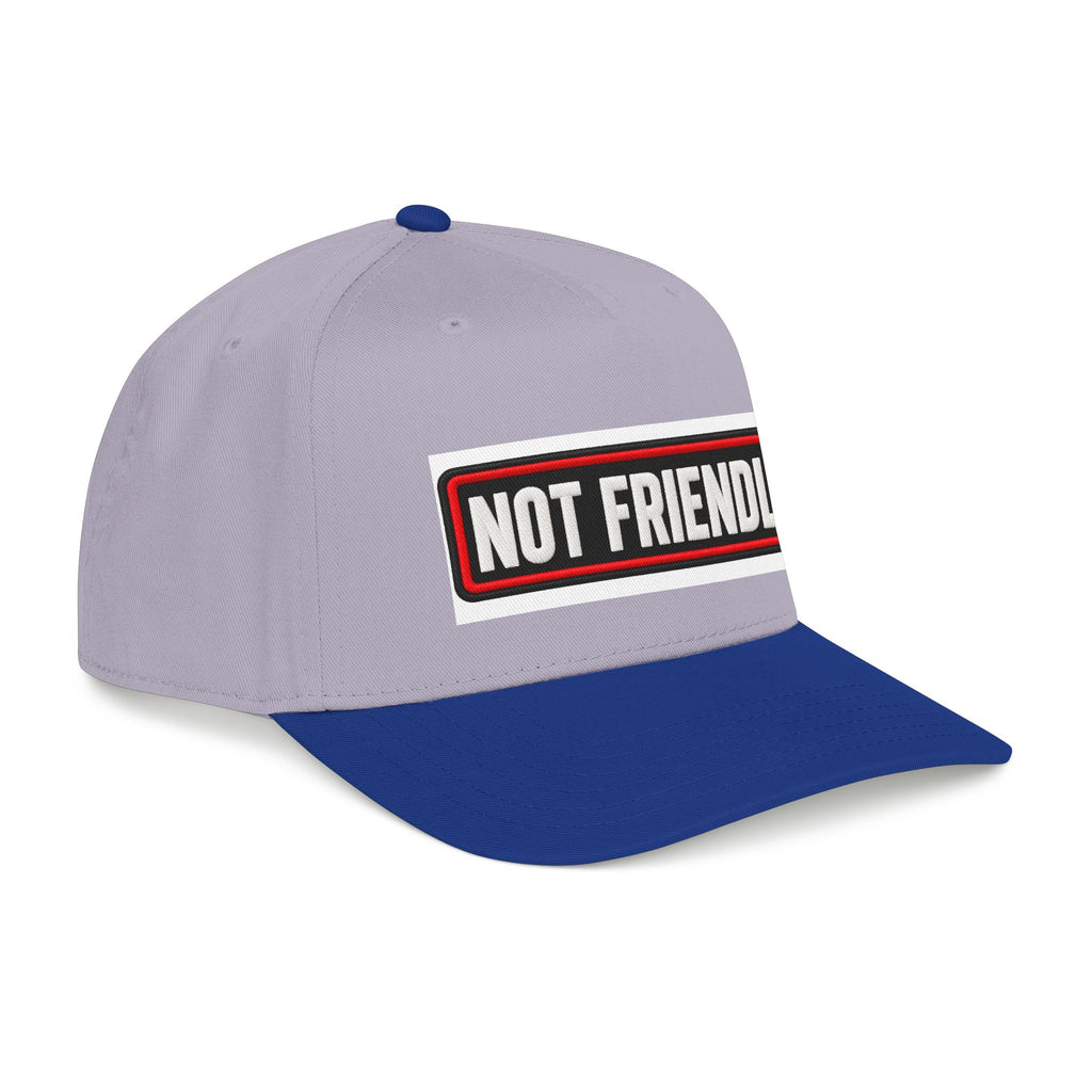 Not Friendly - Service Dog Patch - OTTO Baseball Hat