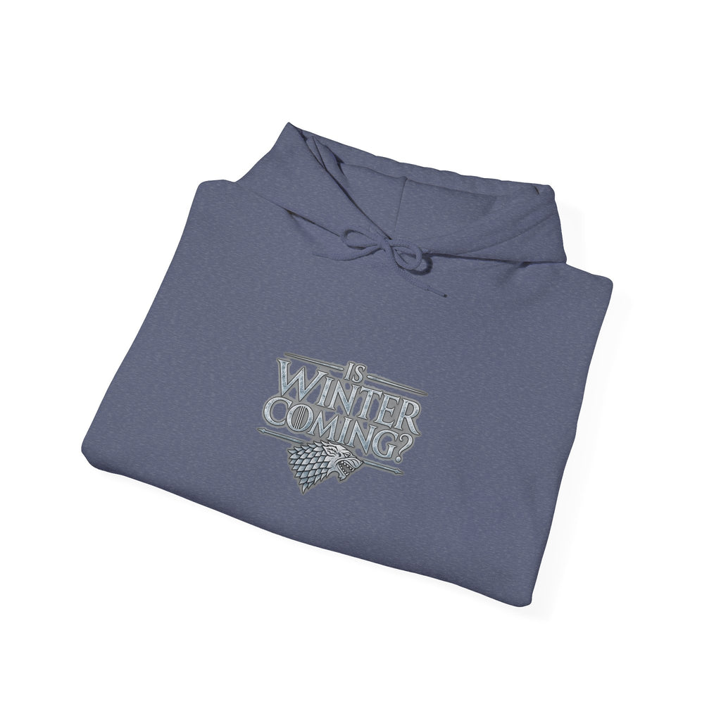 Winter is Coming Stark - Hoodie