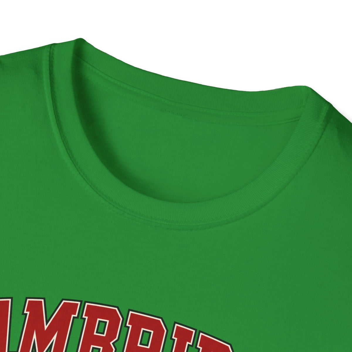Cambridge Community College - Classic Tee