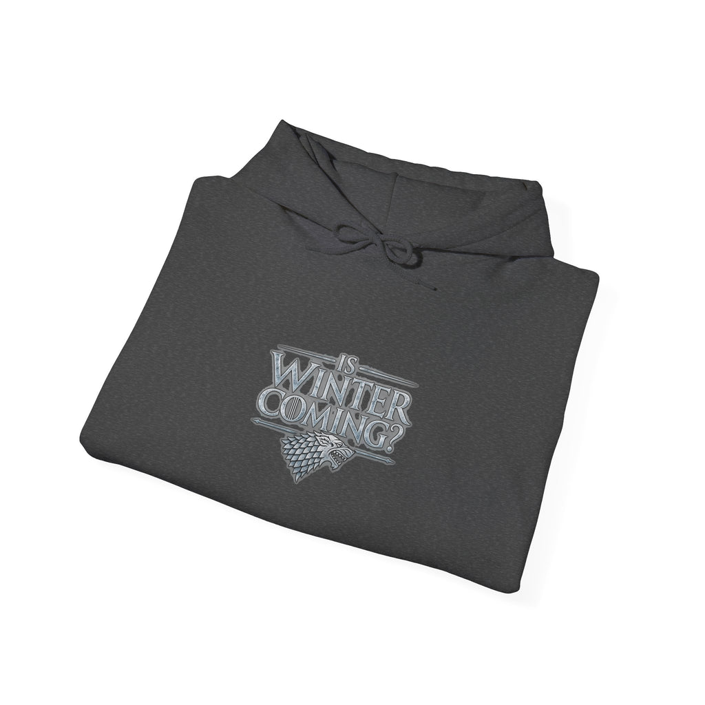 Winter is Coming Stark - Hoodie