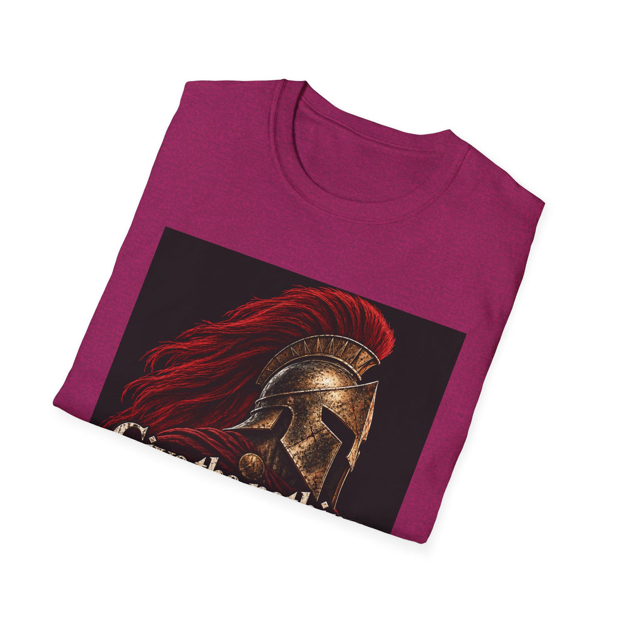 Spartan Helmet - Take Everything - Classic Tee