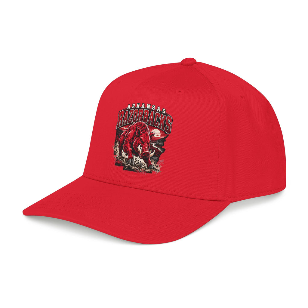 Arkansas Razorbacks State Pride - OTTO Baseball Hat