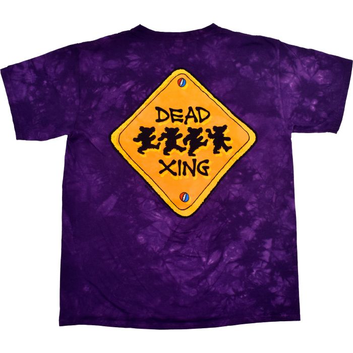 Grateful Dead Bug Truckin' Tie Dye T-Shirt